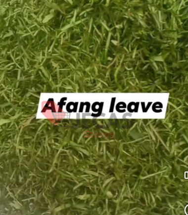 AFANG LEAVES