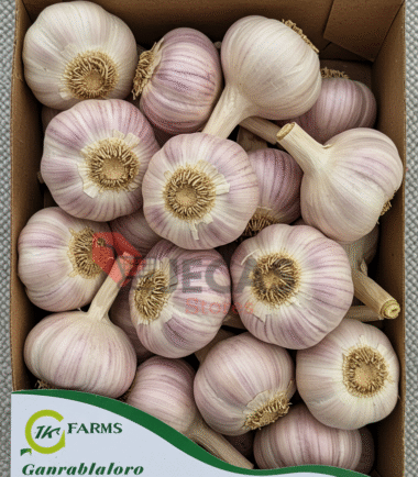 BULK GARLIC