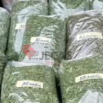 DRIED AFANG & ATAMA LEAVES