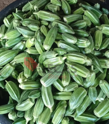 FRESH ORGANIC OKRA