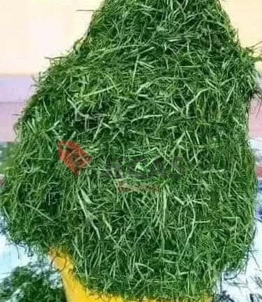FRESH UKAZI AFANG LEAVES