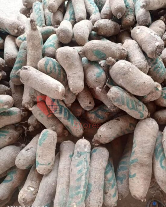 YAM TUBERS