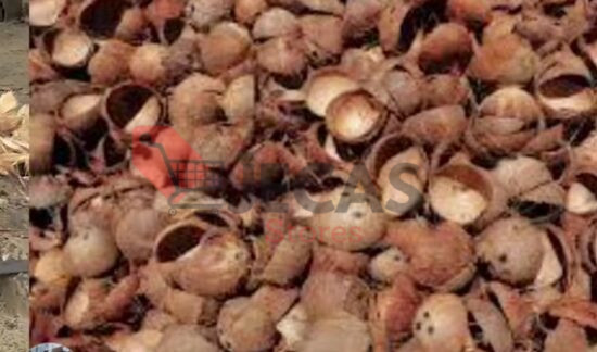 Natural coconut shell for eco-friendly crafts, gardening, or décor use