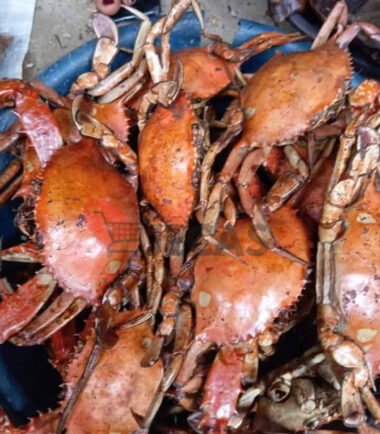 CRABS