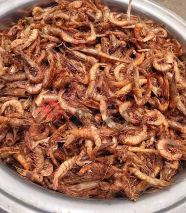 CRAYFISH