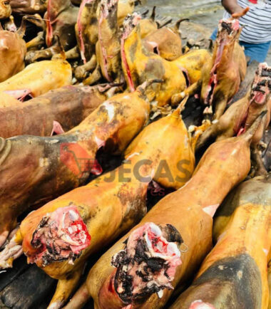 Full Goat Meat