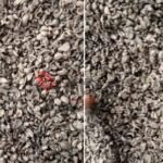 Dry palm kernel shells used as biomass fuel in energy and industrial applications