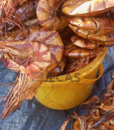 PRAWNS BIGGEST SIZES