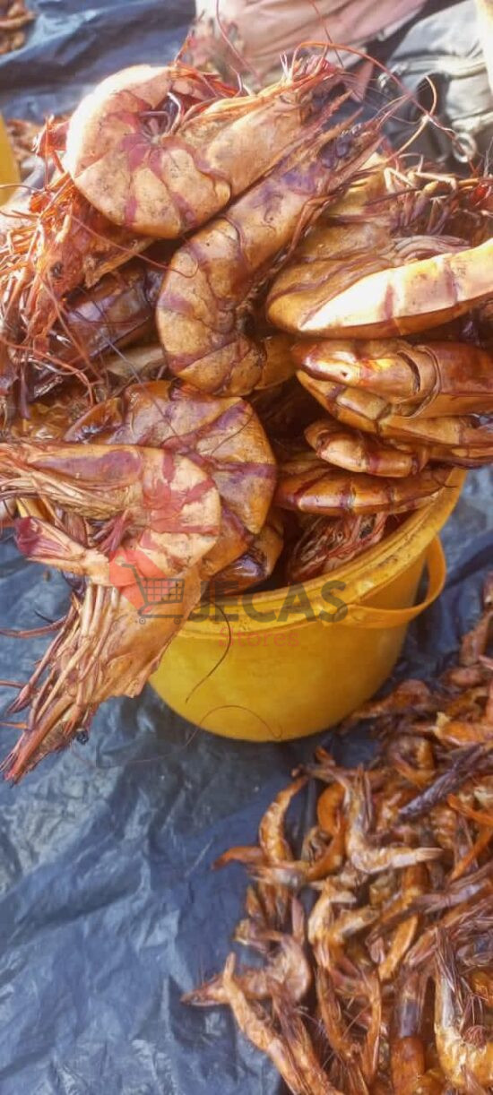 PRAWNS BIGGEST SIZES