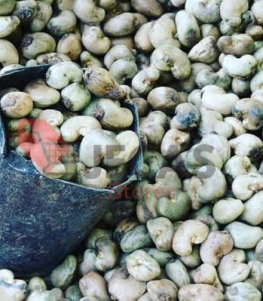 RAW CASHEW NUTS