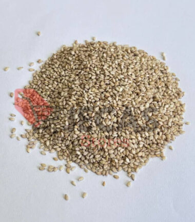 SESAME SEEDS