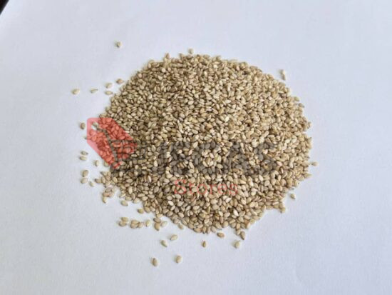 SESAME SEEDS