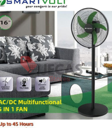 16'' 5 In1 Rechargeable Standing Fan