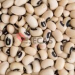 Black Eyed Beans