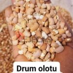 Olotu Brown Beans