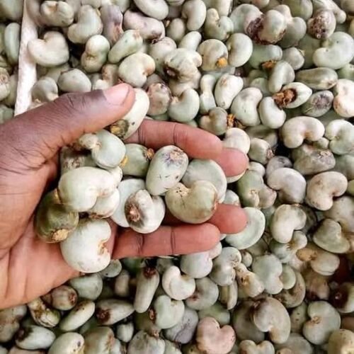 Agricultural & Raw Materials